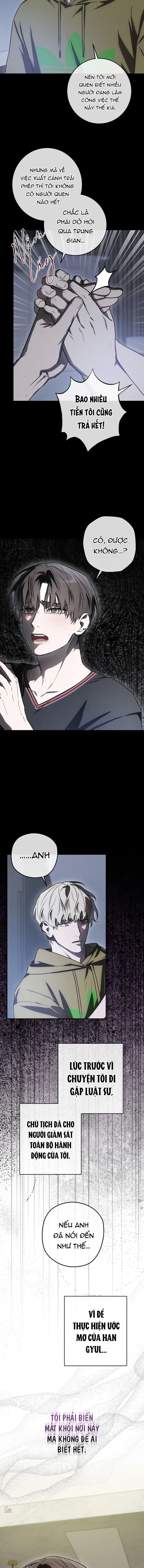 BẢO VẬT Chapter 35 Trang 13