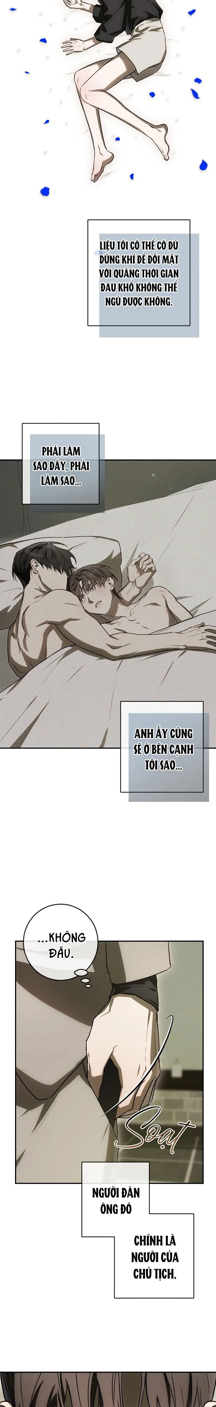 BẢO VẬT Chapter 35 Trang 15