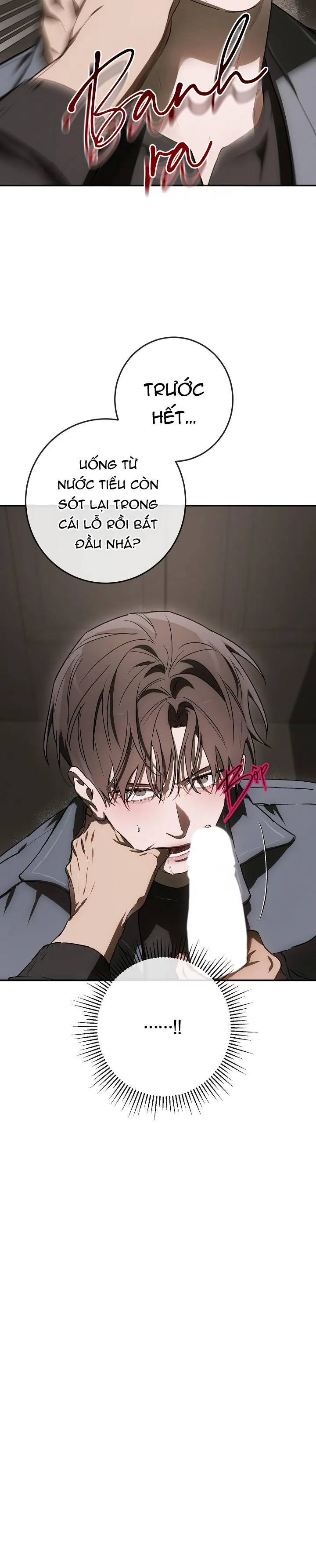 BẢO VẬT Chapter 37 Trang 15