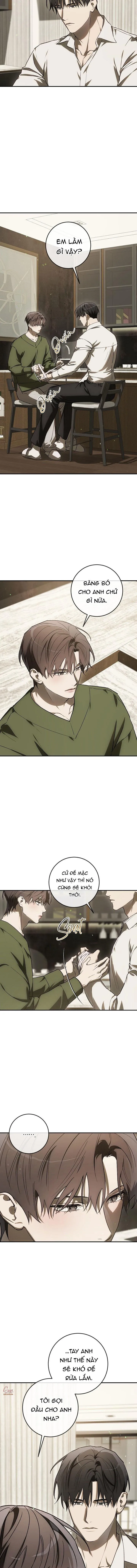 BẢO VẬT Chapter 39 Trang 3