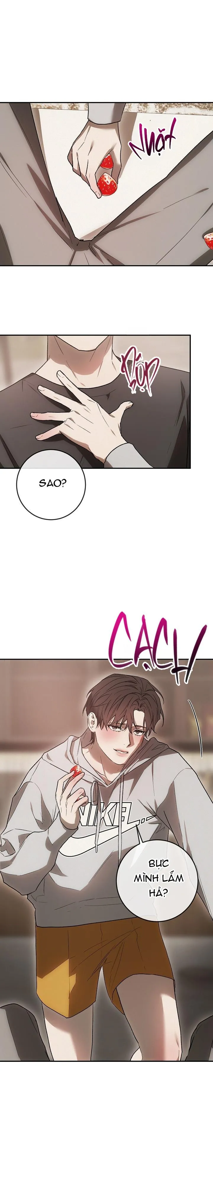 BẢO VẬT Chapter 4 Trang 30