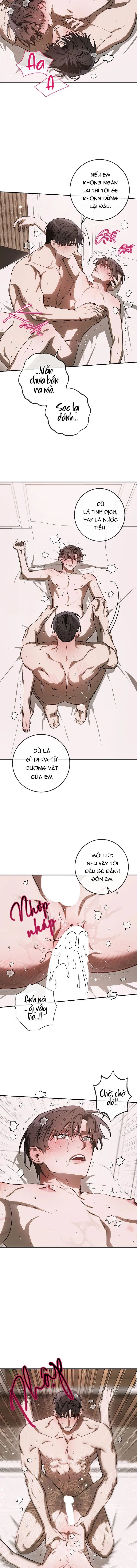 BẢO VẬT Chapter 40 Trang 5