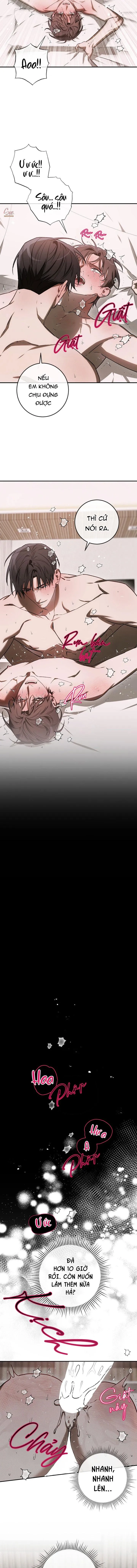 BẢO VẬT Chapter 40 Trang 6