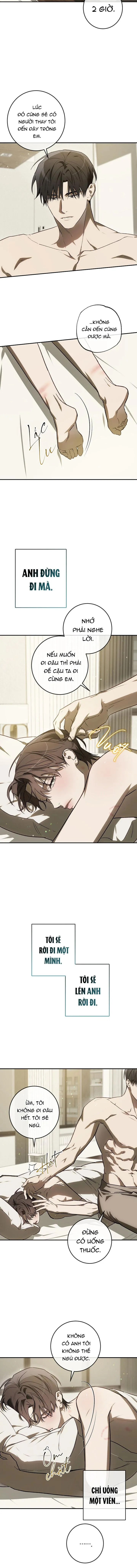 BẢO VẬT Chapter 40 Trang 8