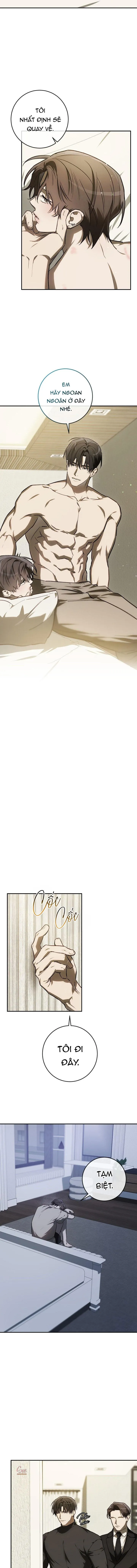 BẢO VẬT Chapter 40 Trang 11