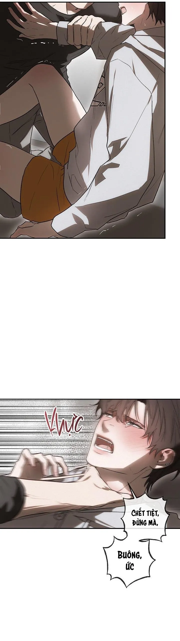 BẢO VẬT Chapter 5 Trang 4