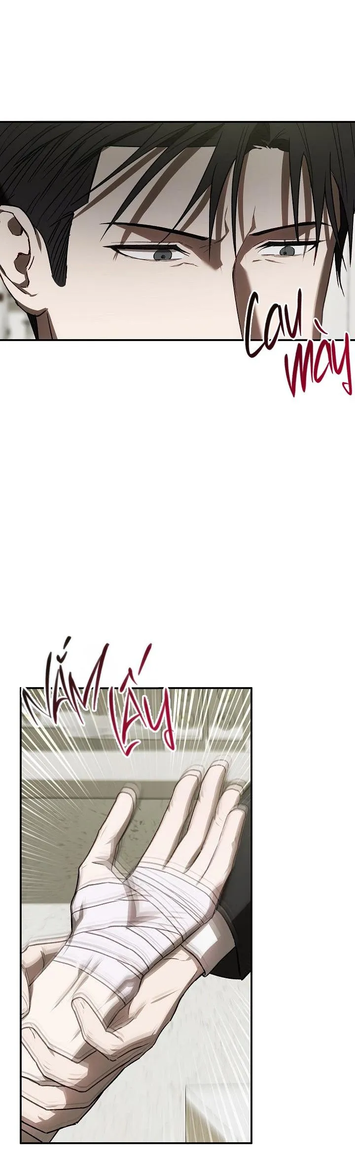 BẢO VẬT Chapter 8 Trang 31