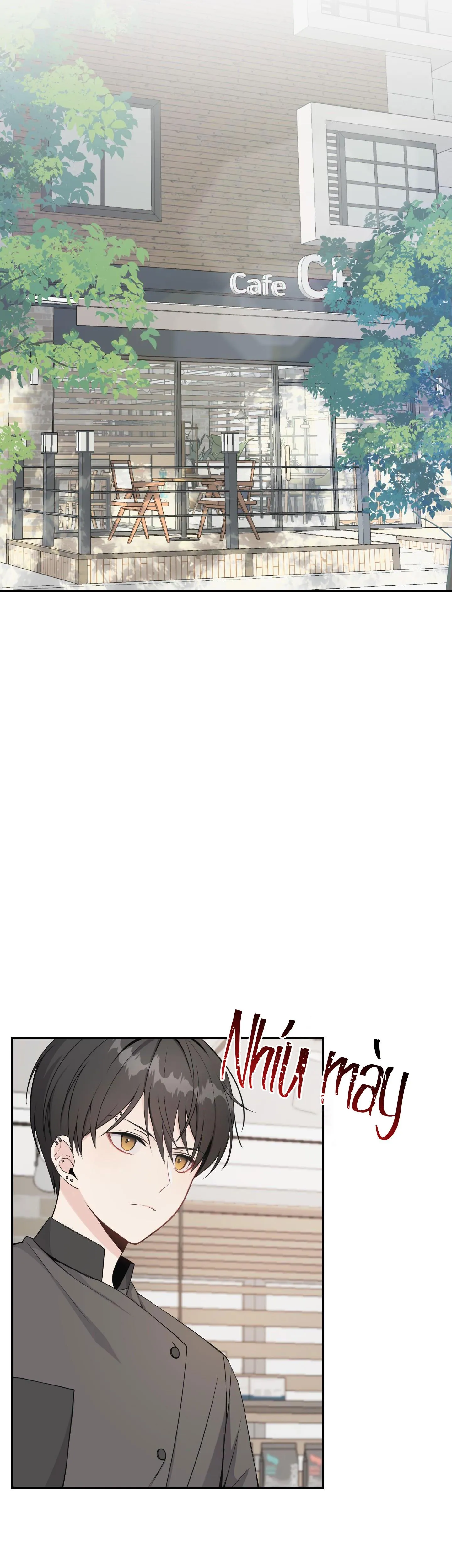 BẮT ĐẦU BÁM ĐUÔI Chapter 1 Trang 6