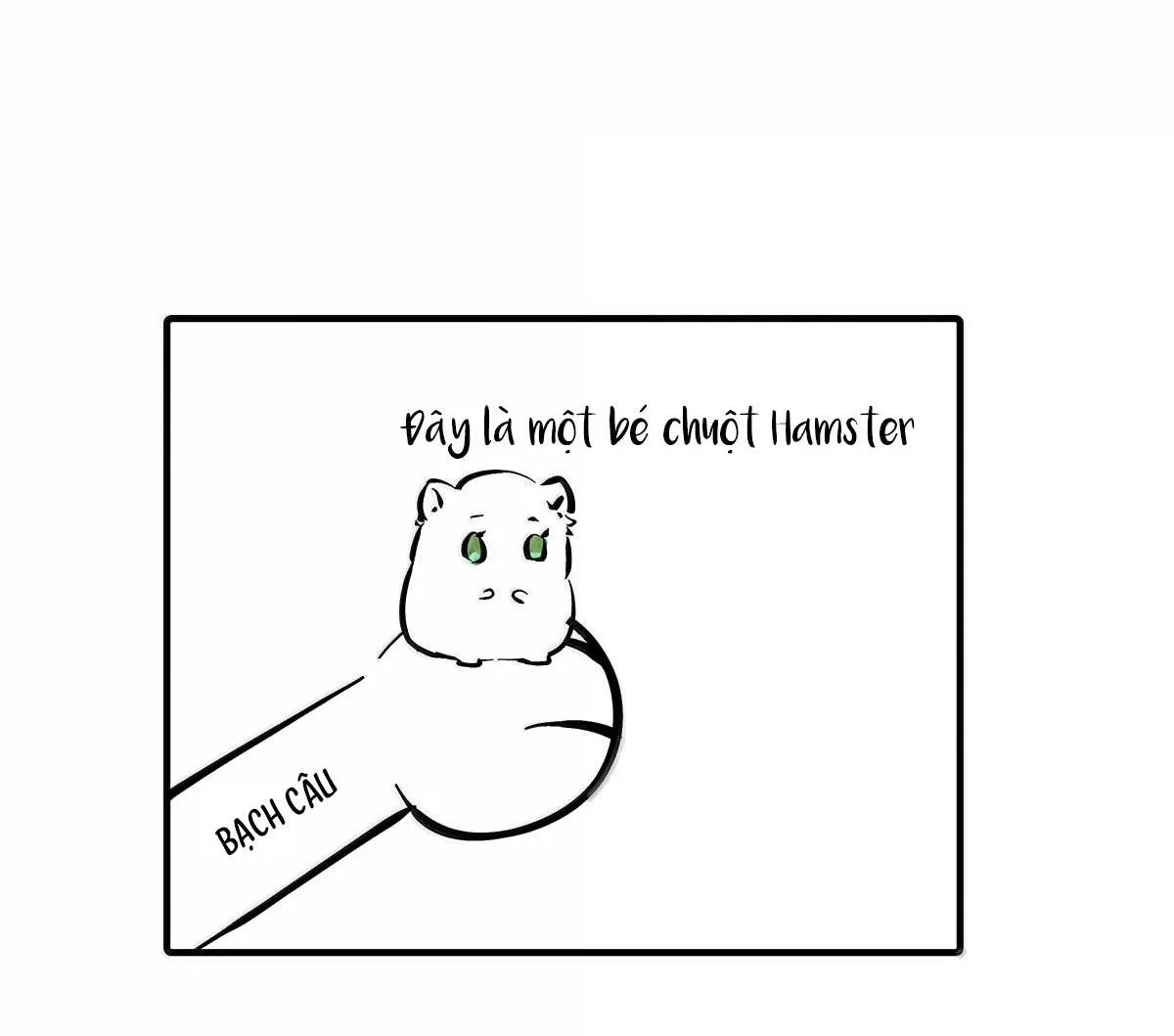 Bắt đầu làm bạn trai từ số 0 Chapter 42 Trang 34