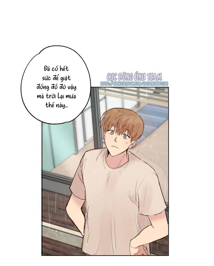 Bắt Đầu Từ Việc Sống Chung Chapter 1 Trang 8