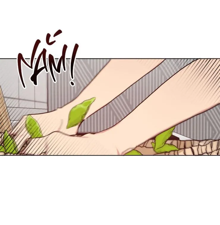 Bắt Đầu Từ Việc Sống Chung Chapter 1 Trang 14