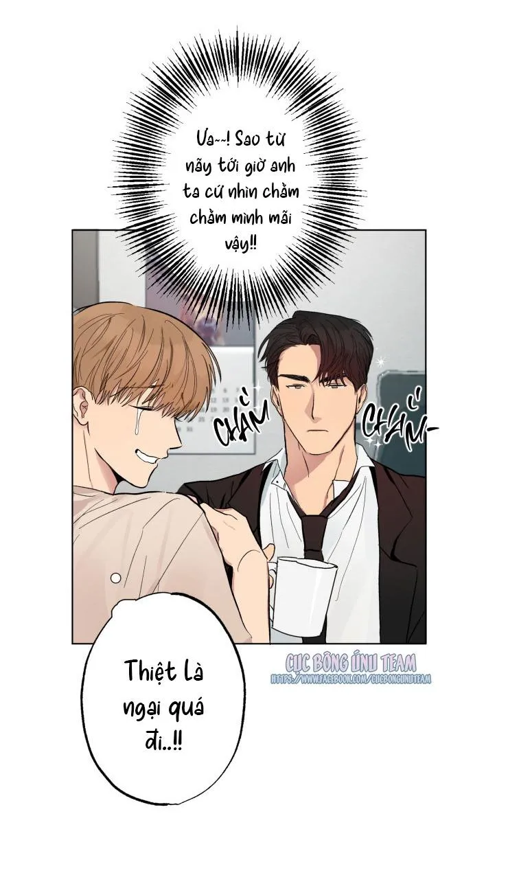 Bắt Đầu Từ Việc Sống Chung Chapter 1 Trang 36