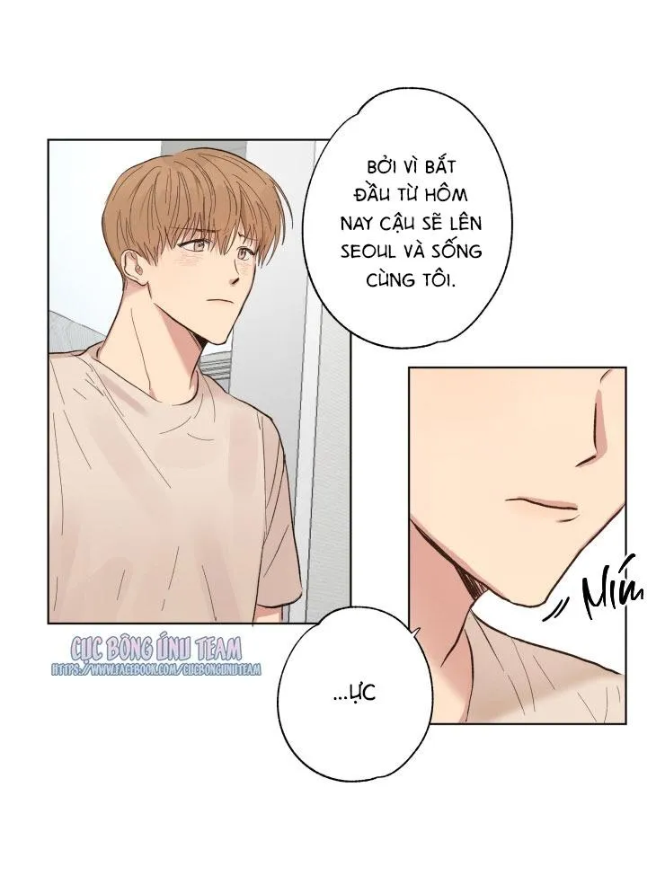 Bắt Đầu Từ Việc Sống Chung Chapter 1 Trang 50