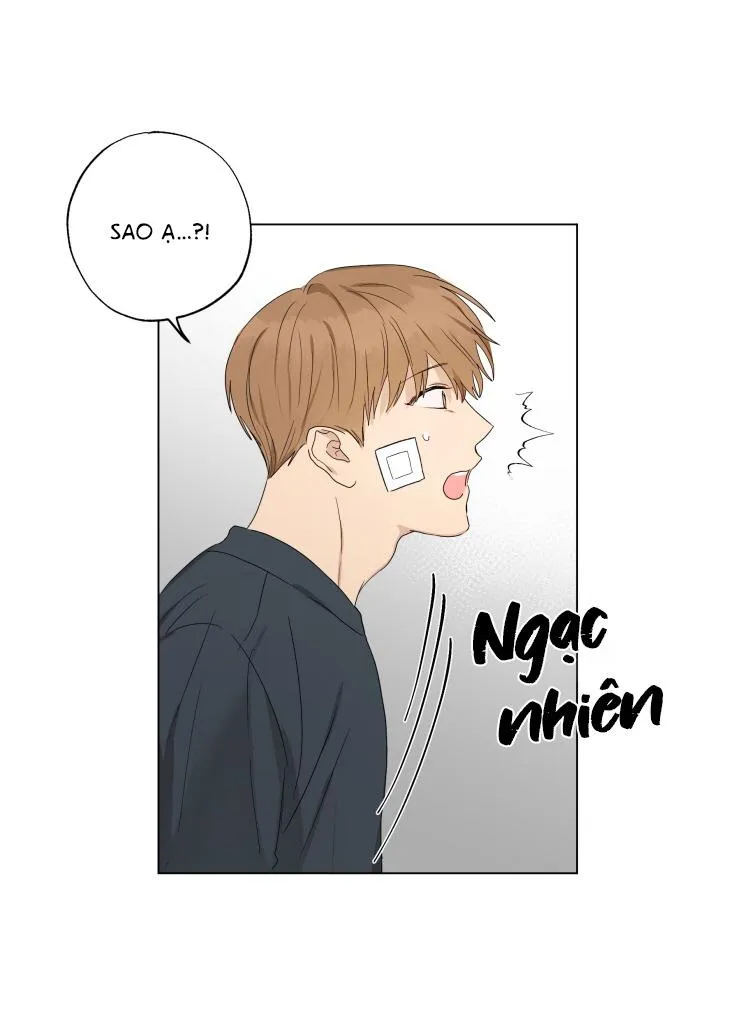 Bắt Đầu Từ Việc Sống Chung Chapter 11 Trang 16