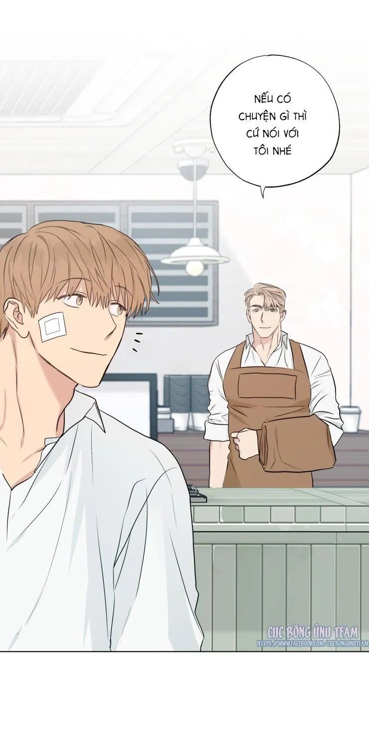 Bắt Đầu Từ Việc Sống Chung Chapter 12 Trang 16