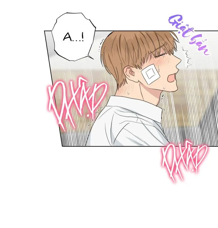 Bắt Đầu Từ Việc Sống Chung Chapter 13 Trang 13