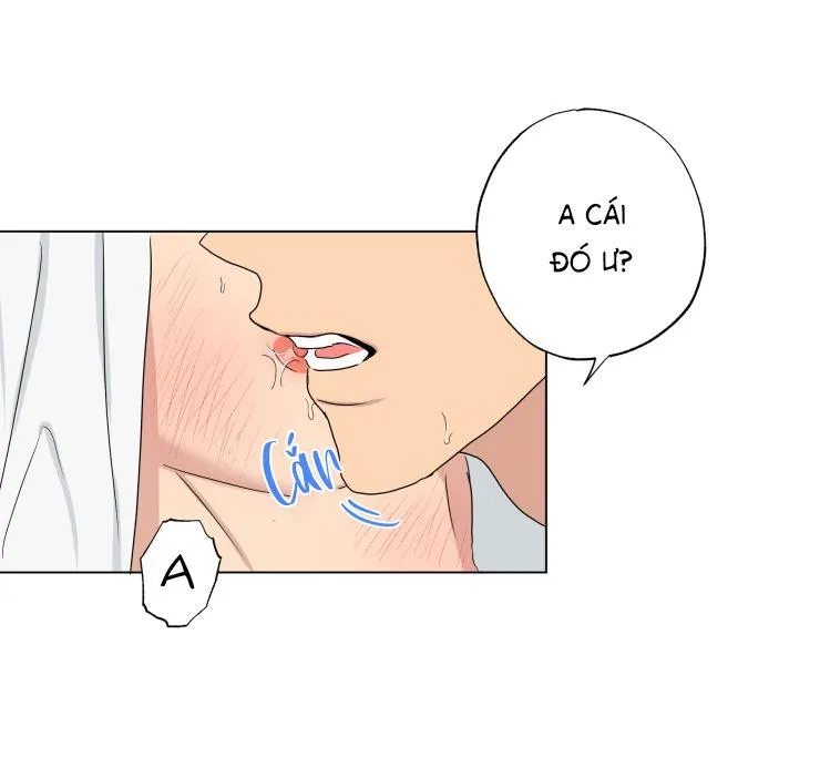 Bắt Đầu Từ Việc Sống Chung Chapter 13 Trang 16