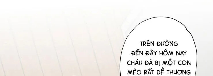 Bắt Đầu Từ Việc Sống Chung Chapter 2 Trang 41