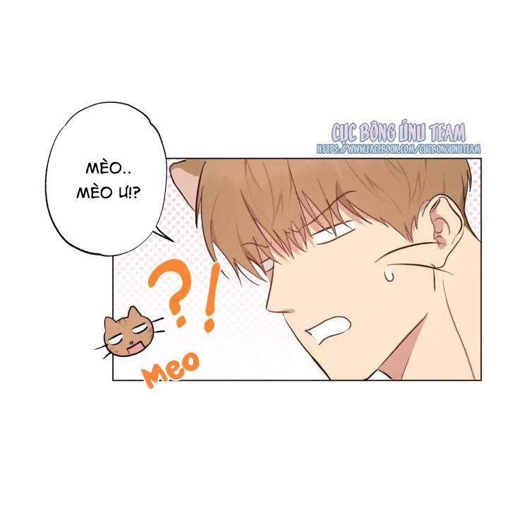 Bắt Đầu Từ Việc Sống Chung Chapter 2 Trang 44