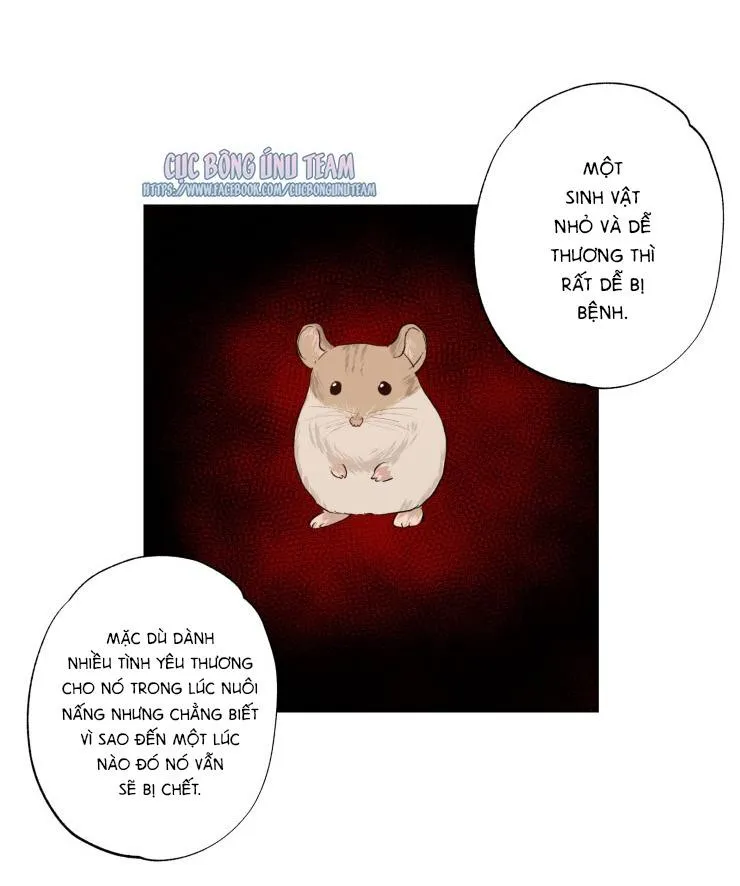 Bắt Đầu Từ Việc Sống Chung Chapter 5 Trang 37