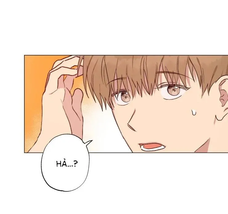 Bắt Đầu Từ Việc Sống Chung Chapter 6 Trang 17