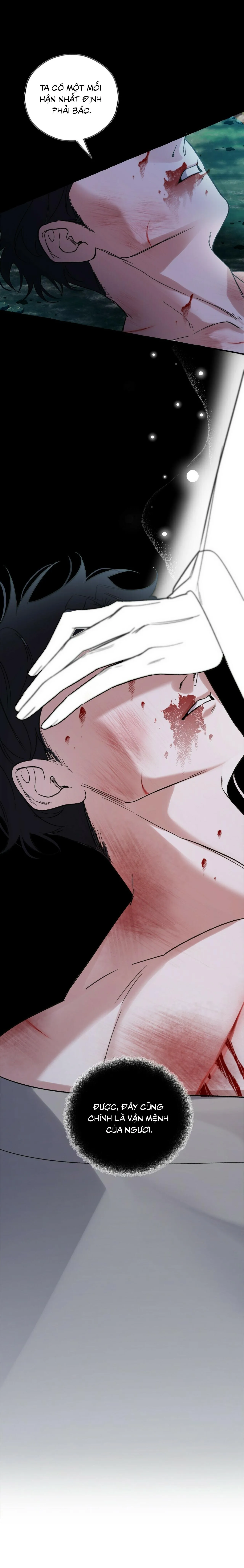 BÁT NHÃ GIAI NHÂN Chapter 44 Trang 5