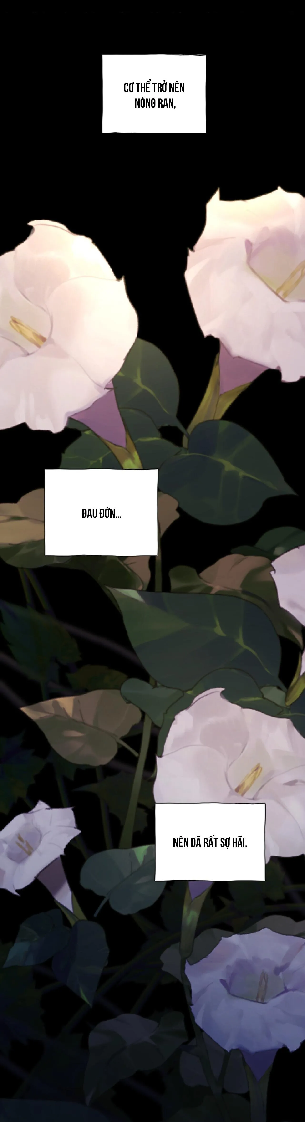 BÁT NHÃ GIAI NHÂN Chapter 45 Trang 66