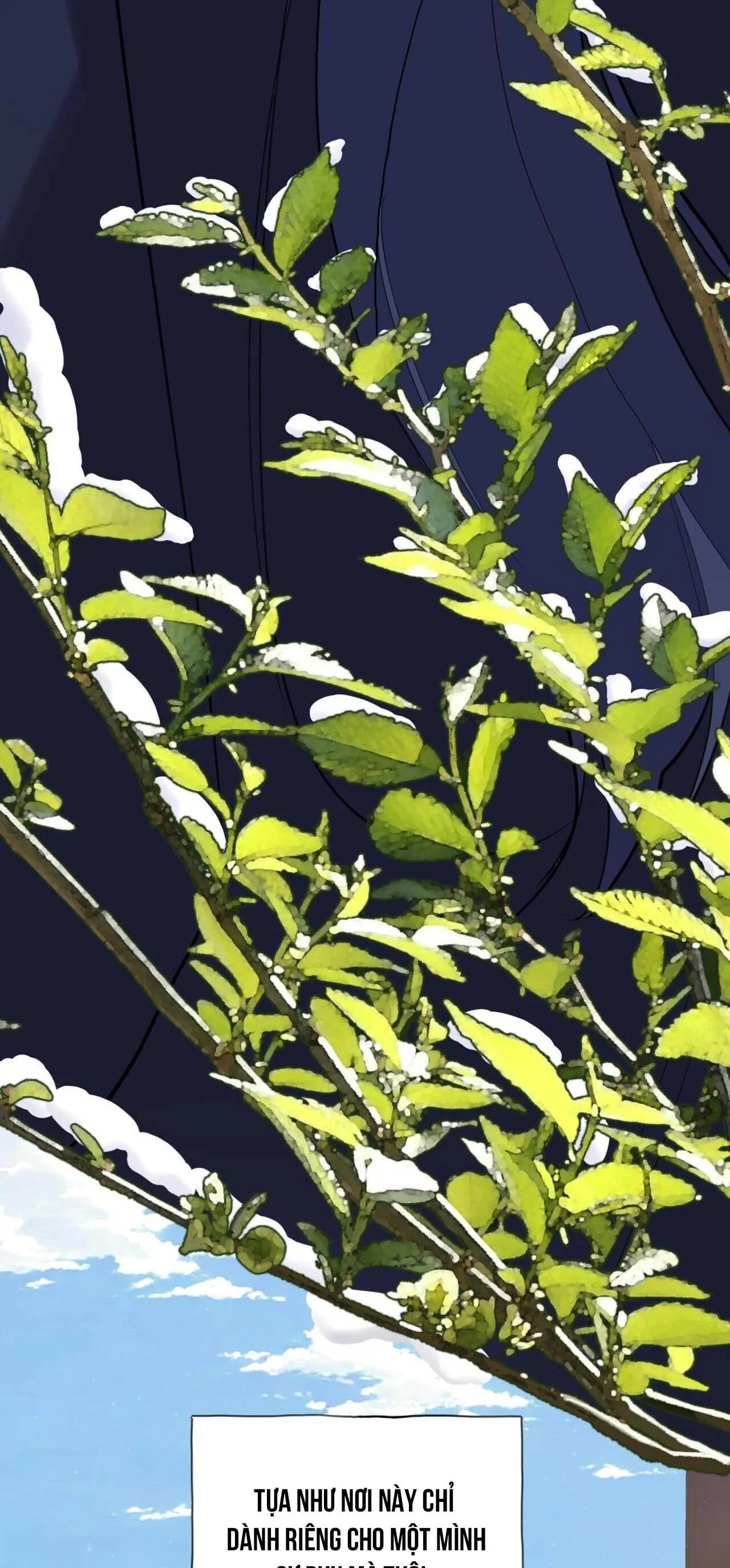 BÁT NHÃ GIAI NHÂN Chapter 58 Trang 15