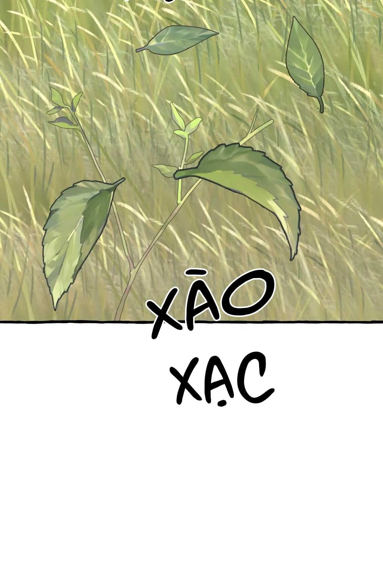 BÁT NHÃ GIAI NHÂN Chapter 71 Trang 29