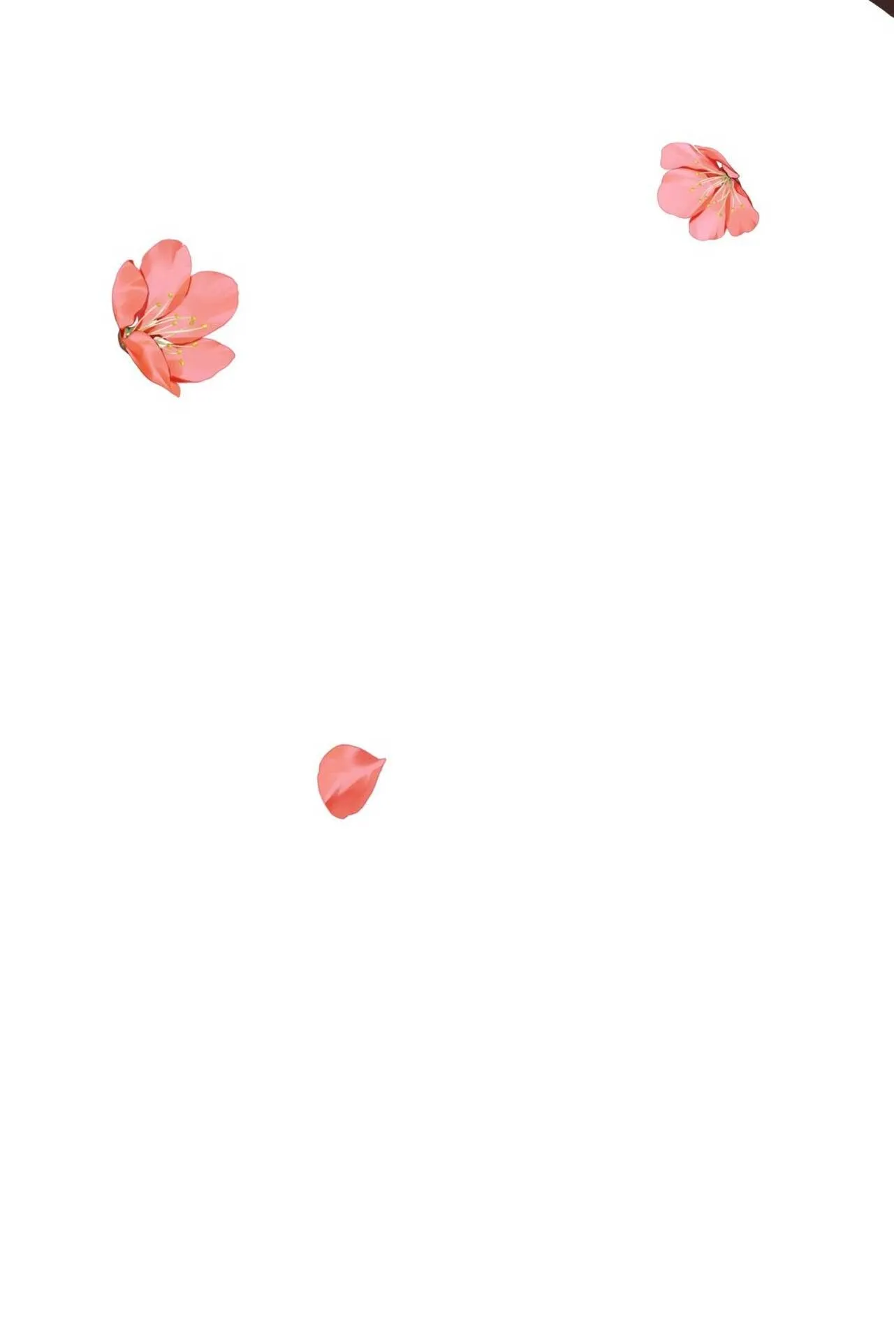 BÁT NHÃ GIAI NHÂN Chapter 76 Trang 69