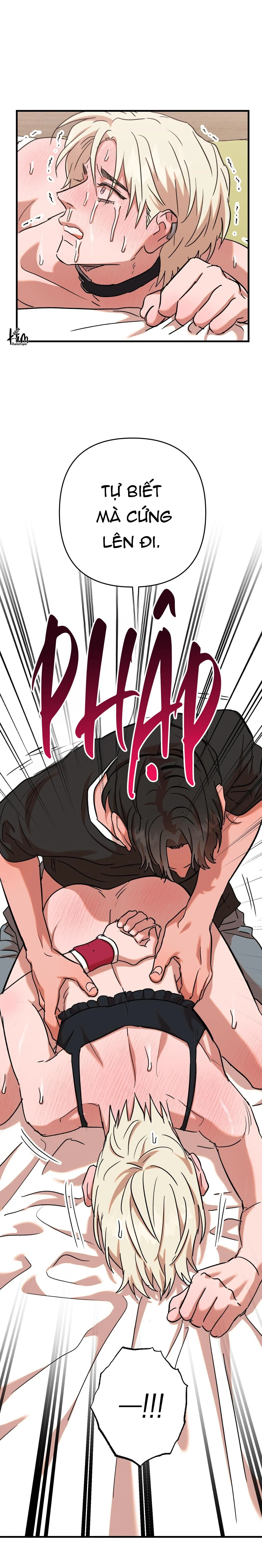 BẮT TẠI TRẬN Chapter 19 Trang 42