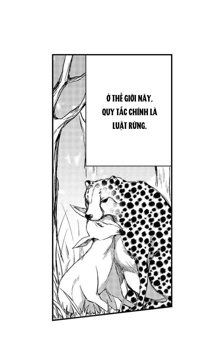 Bắt trọn bữa tiệc Chapter 1 Trang 3