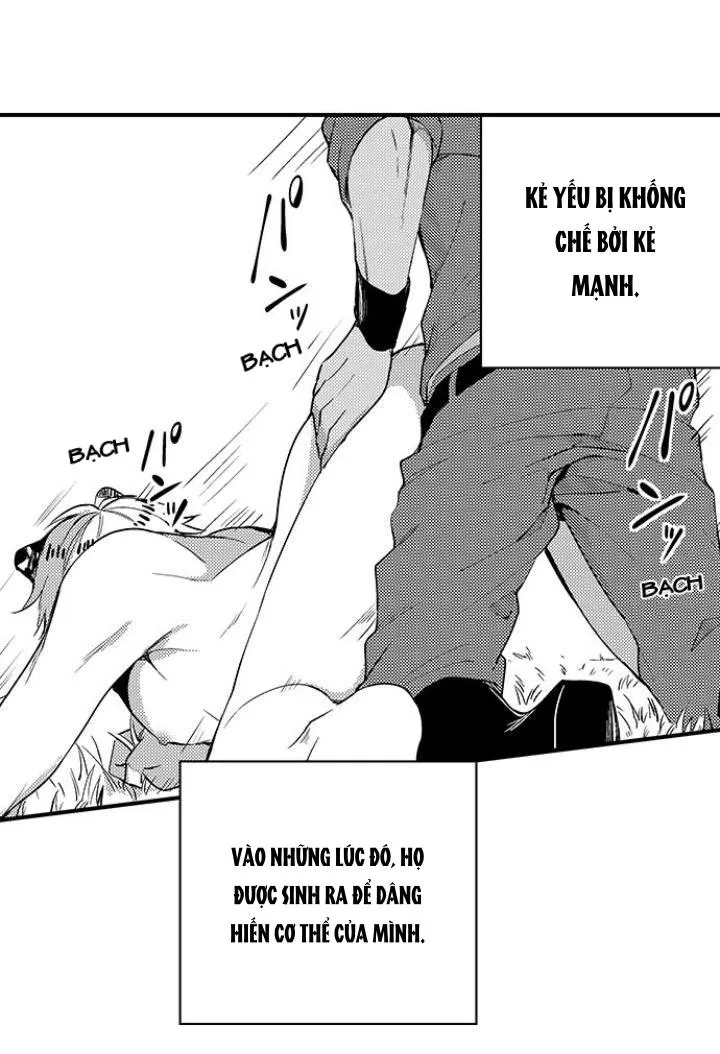 Bắt trọn bữa tiệc Chapter 1 Trang 4