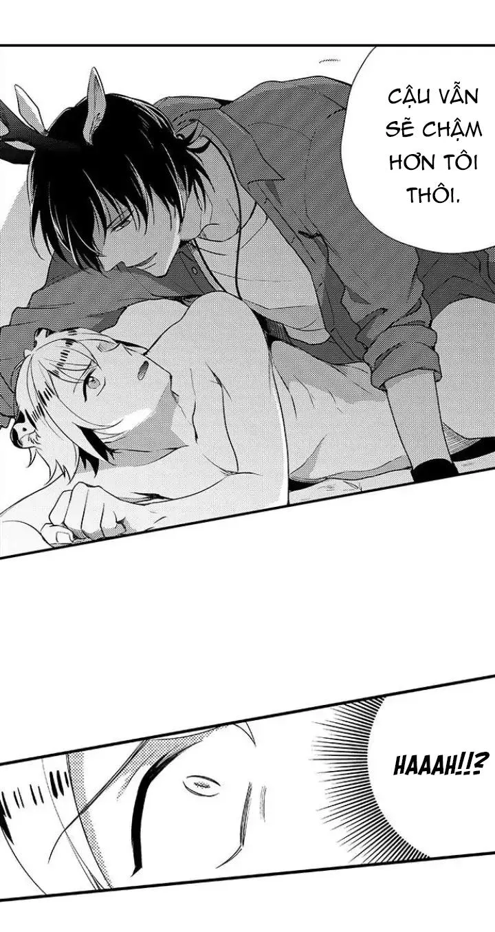 Bắt trọn bữa tiệc Chapter 3 Trang 16