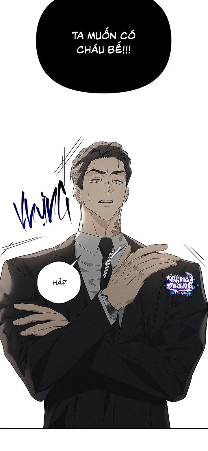 BẪY CHUỘT Chapter 1 Trang 19
