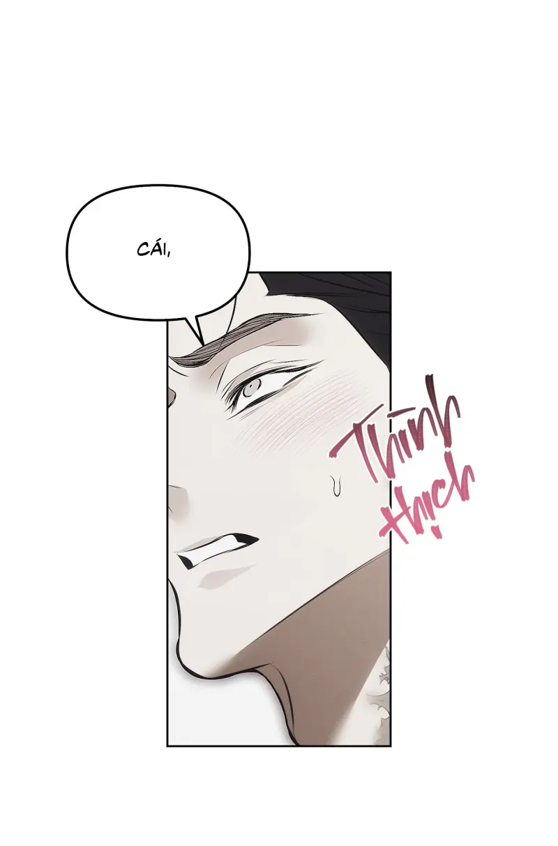 BẪY CHUỘT Chapter 7 Trang 36