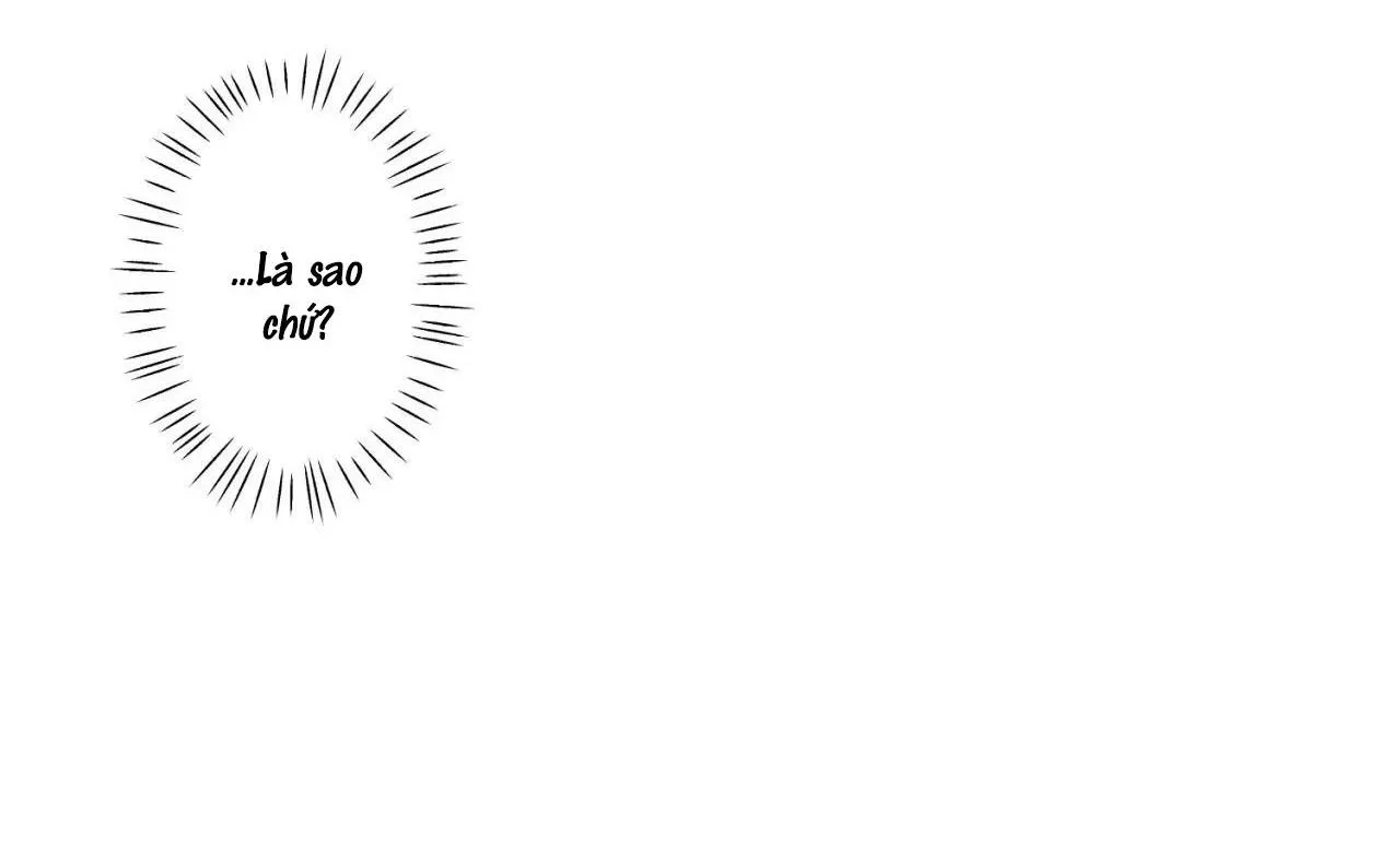 Bẫy Đôi Ngọt Ngào Chapter 13 Trang 7