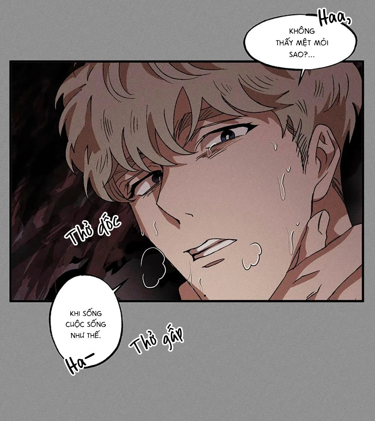 Bẫy Đôi Ngọt Ngào Chapter 44 Trang 44