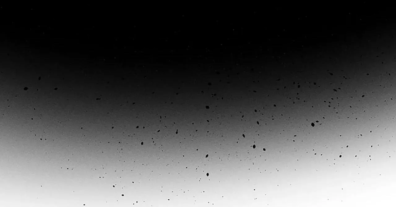 Bẫy Đôi Ngọt Ngào Chapter 46 Trang 12