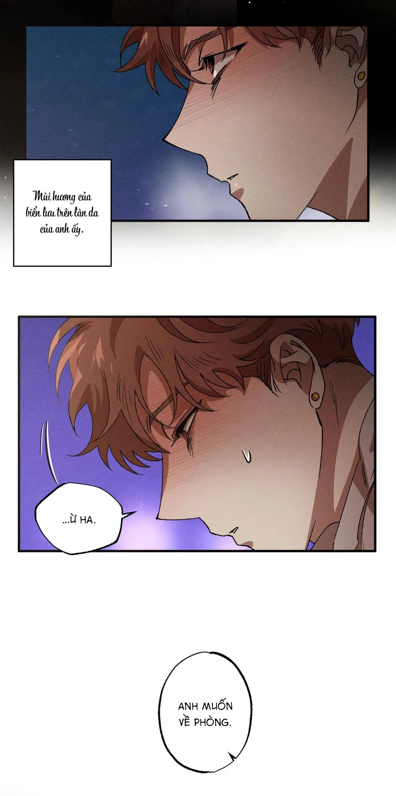 Bẫy Đôi Ngọt Ngào Chapter 63 Trang 4