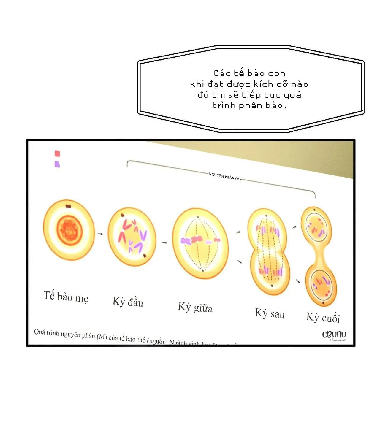 Bẫy Đôi Ngọt Ngào Chapter 9 Trang 35