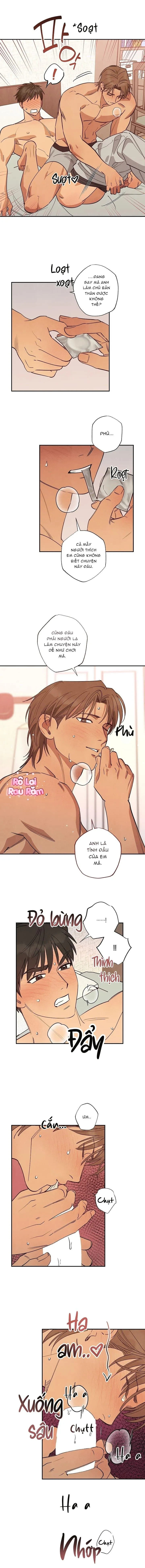 BẢY NGÀY CHỦ NHẬT Chapter 11 Trang 6