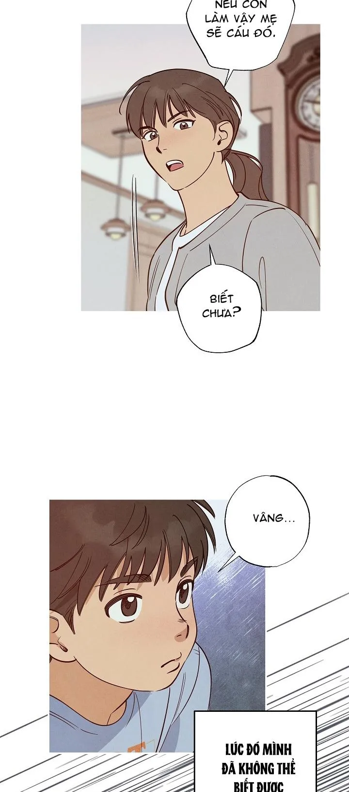 BẢY NGÀY CHỦ NHẬT Chapter 13 Trang 41