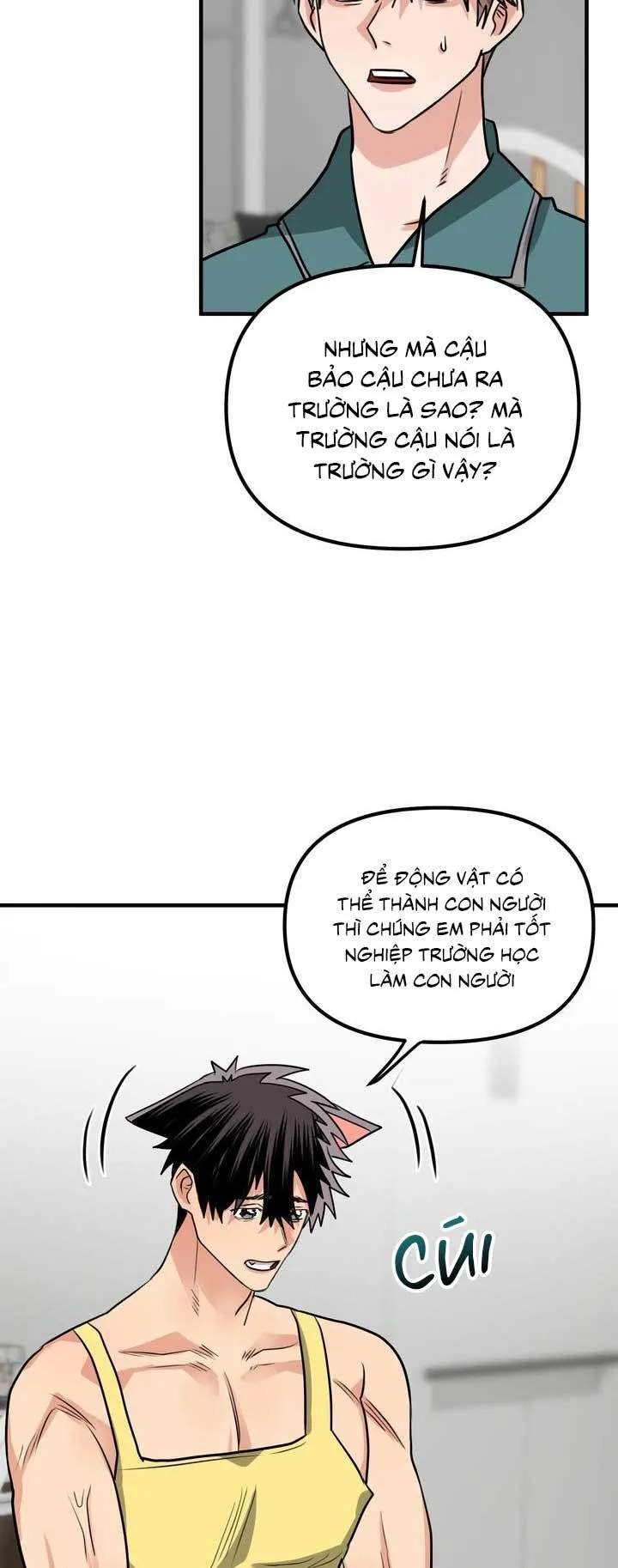 Bé chồng là cún con của tôi Chapter 2 Trang 12