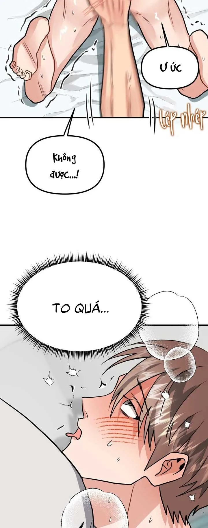 Bé chồng là cún con của tôi Chapter 4 Trang 17