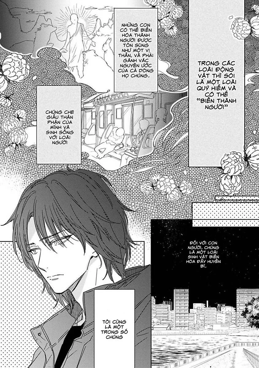 Bé Cưng Chưa Trường Thành Chapter 1 Trang 14