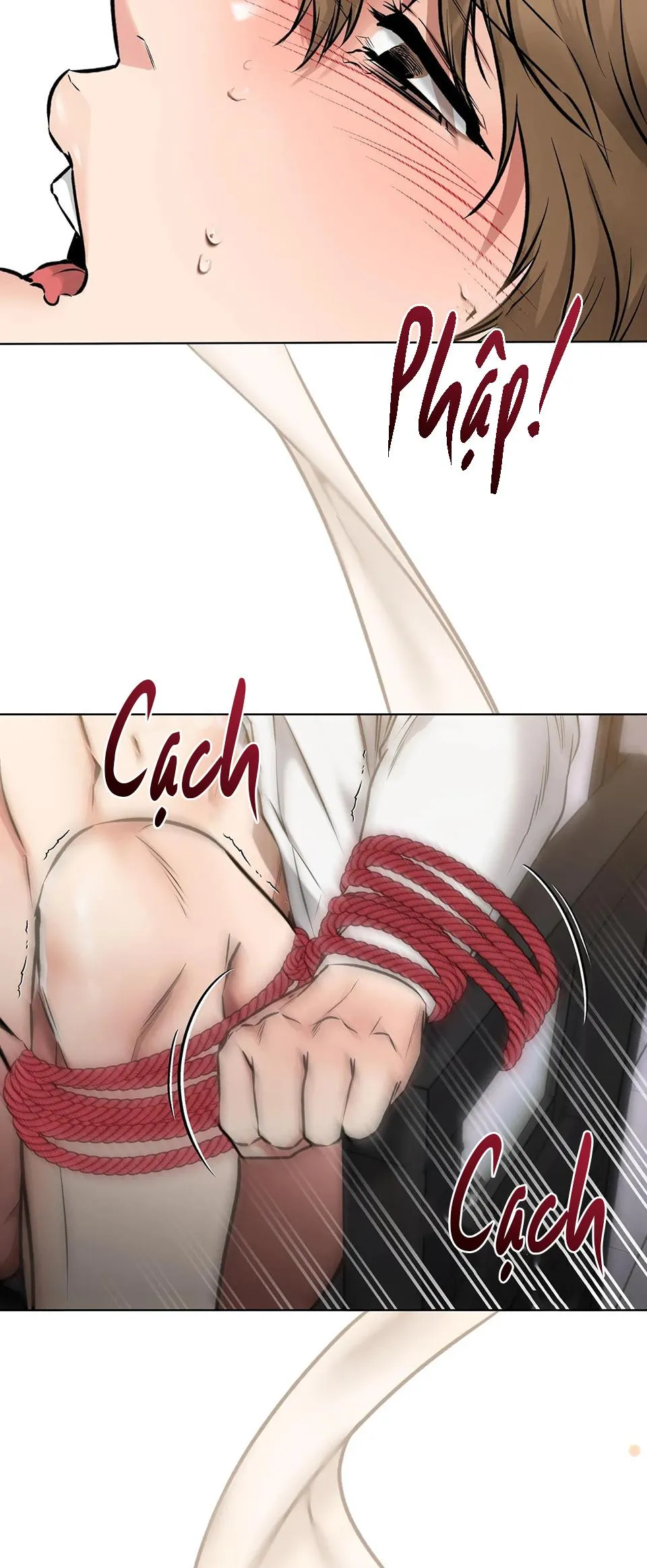 BÊN TRONG LỚP CẢNH PHỤC Chapter 12 Trang 14