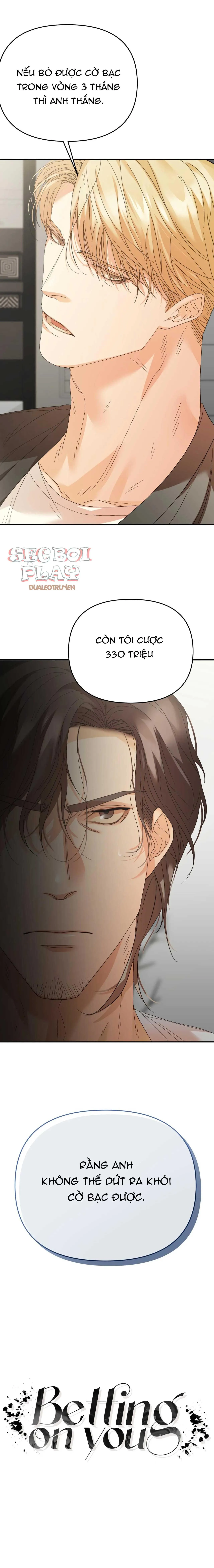 BETTING ON YOU Chapter 7 Trang 7