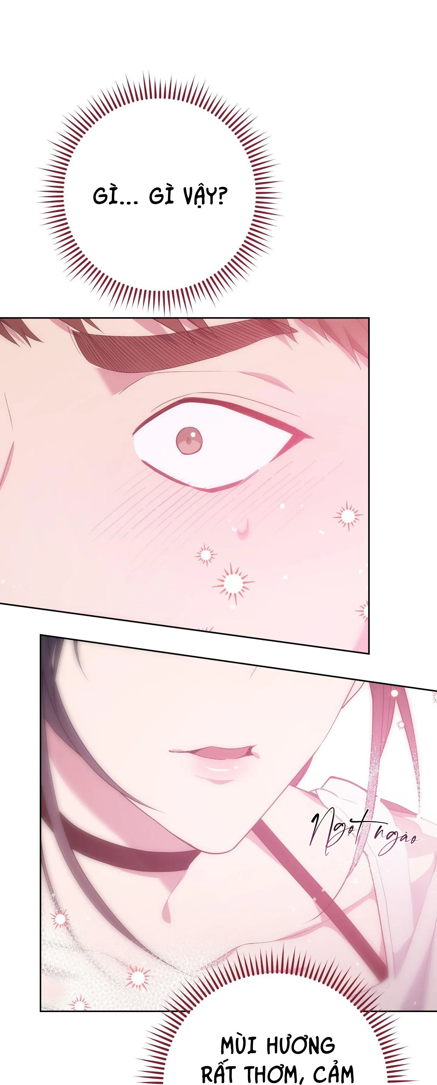 BÍ MẬT CỦA BẠN GÁI Chapter 8 Trang 14