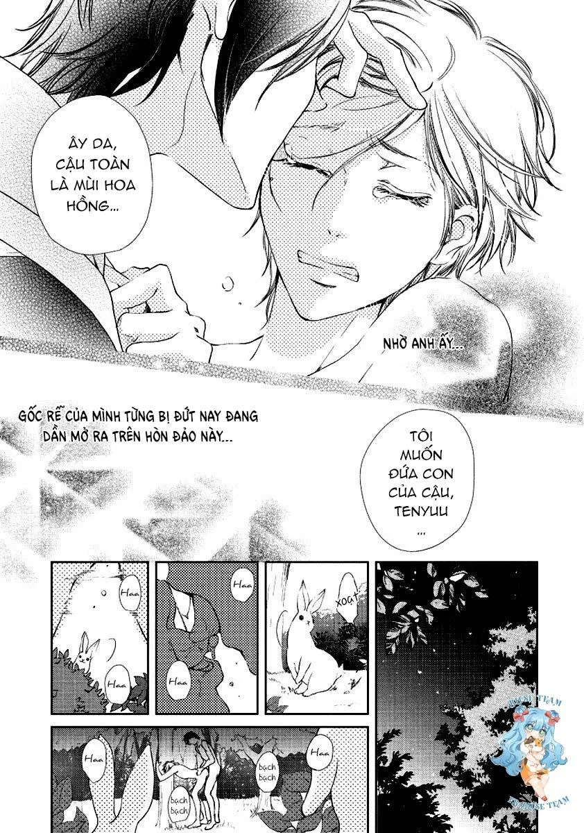 Full Bí Mật Của Hoa Hồng Harami Chapter 3 Trang 27